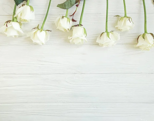 Hermosas Rosas Sobre Marco Fondo Madera Blanca — Foto de Stock