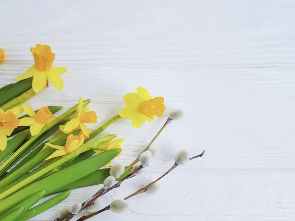 Blume Narzisse Flauschige Weide Auf Weißem Holzgrund — Stockfoto