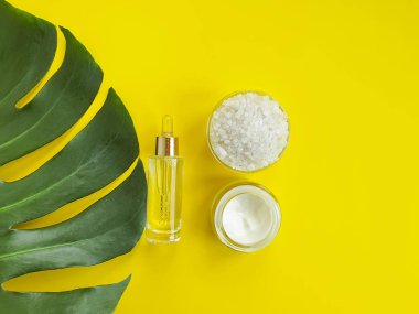 Sarı bir arka plan üzerinde kozmetik krem, monstera yaprak