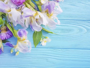 mavi ahşap arka planda iris çiçek
