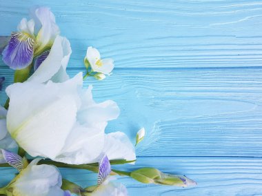 mavi ahşap arka planda iris çiçek