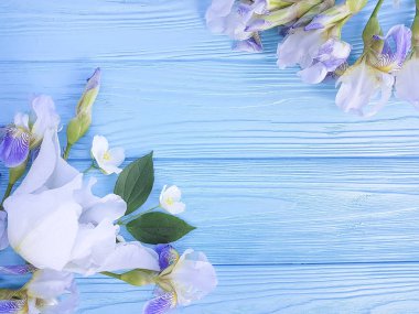 mavi ahşap arka planda iris çiçek