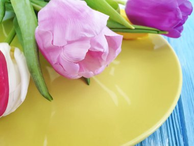 plaka, mavi ahşap arka planda Çiçek Lale