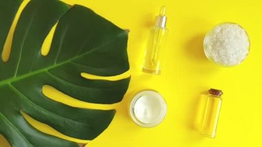 Sarı bir arka plan üzerinde kozmetik krem, monstera yaprak