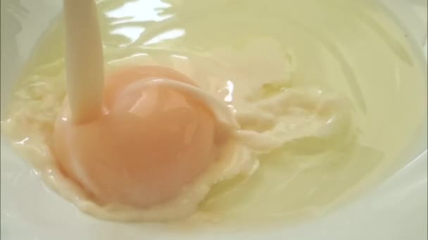 Яйце Наливає Молоко Повільний Рух — стокове відео