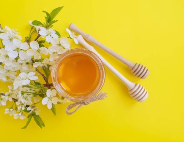 bal, sarı bir arka plan üzerinde kiraz açan