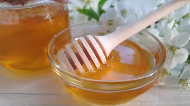 Honing Kersenbloesem Houten Achtergrond — Stockvideo