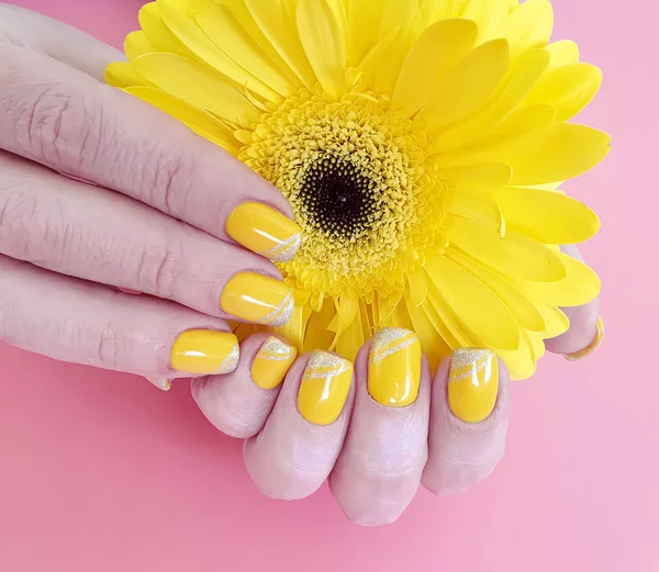 Kadın Elleri Manikür Renkli Bir Arka Planda Gerbera Çiçek — Stok fotoğraf