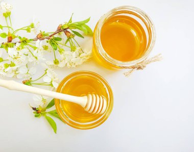 bal, renkli bir arka plan üzerinde kiraz çiçekleri