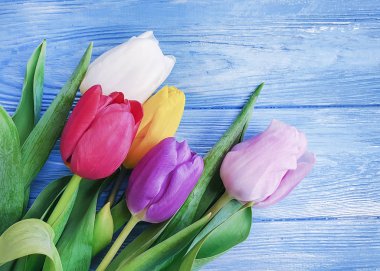 mavi ahşap arka plan çerçevesi üzerinde lale güzel buket