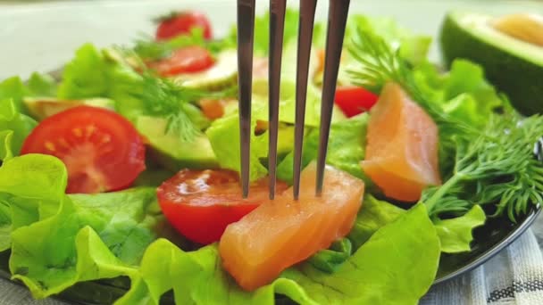 Salmon Salad Avocado Slow Motion — Stock Video