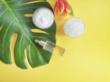 Kozmetik krem, özü, renkli bir arka plan üzerinde çiçek Lale Monstera yaprak