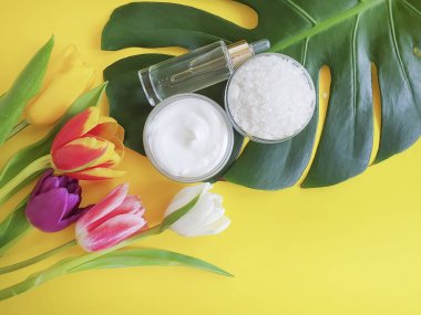 Kozmetik krem, özü, renkli bir arka plan üzerinde çiçek Lale Monstera yaprak