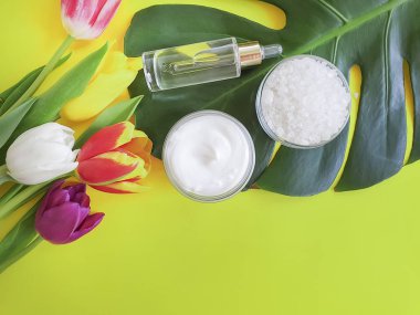 Kozmetik krem, özü, renkli bir arka plan üzerinde çiçek Lale Monstera yaprak
