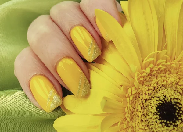 Female Manicure Gerbera Flower Silk Fabric — Stock Photo, Image