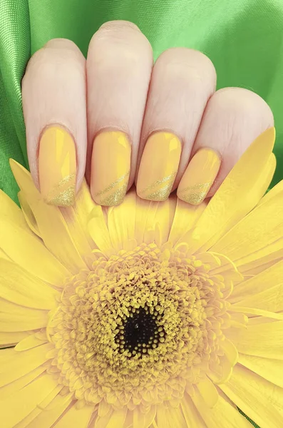 female manicure, gerbera flower, silk fabric