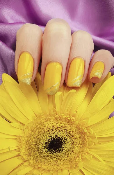 Vrouwelijke Manicure Gerbera Bloem Zijde Stof — Stockfoto