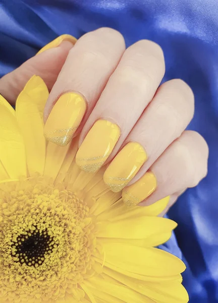 female manicure, gerbera flower, silk fabric