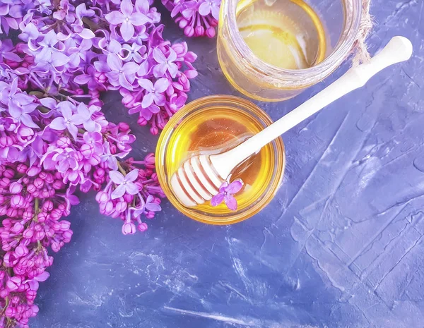 Мёд Капающий Лиловый Цветок Черном Бетонном Фоне Замедленная Съемка — стоковое фото