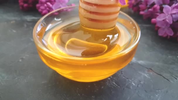 Мёд Капающий Лиловый Цветок Черном Бетонном Фоне Замедленная Съемка — стоковое видео