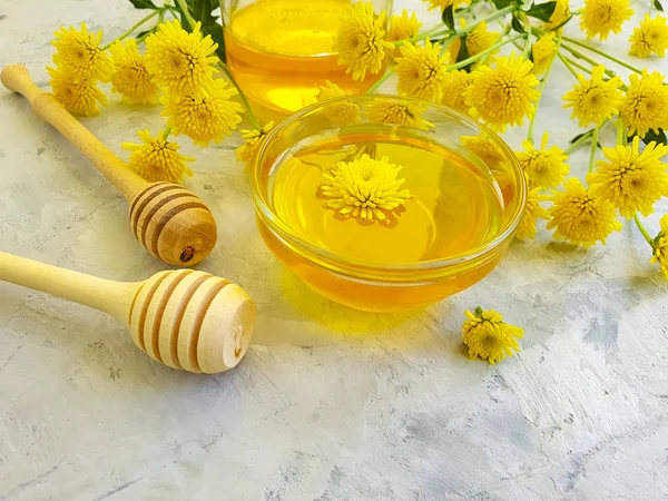 Frischer Honig Gelbe Chrysanthemenblüte Auf Grauem Betongrund — Stockfoto