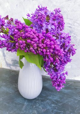 eski beton vintage arka plan üzerinde bir vazo içinde leylak buketi