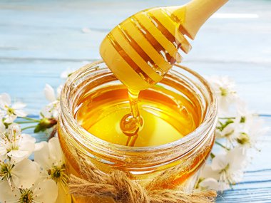 fresh honey, blooming cherry on a blue wooden background