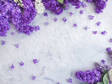 siyah beton çerçeve arka plan üzerinde leylak çiçek