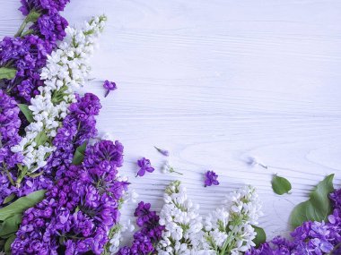 beyaz ahşap arka plan çerçevesi üzerinde leylak çiçek