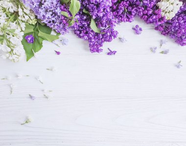 beyaz ahşap arka plan çerçevesi üzerinde leylak çiçek