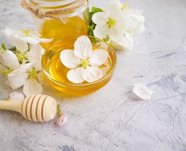 taze doğal bal, gri beton arka plan üzerinde elma ağacı açan