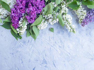 Gri Beton Arkaplanda Leylak Çiçeği Çerçevesi