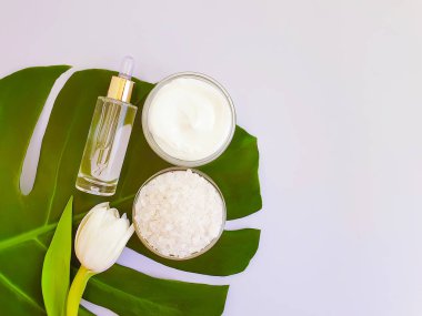 kozmetik krem, çiçek lale, renkli bir arka plan üzerinde monstera yaprak tuzu