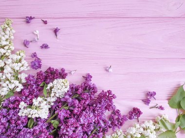 ahşap arka plan çerçevesi üzerinde güzel leylak çiçek