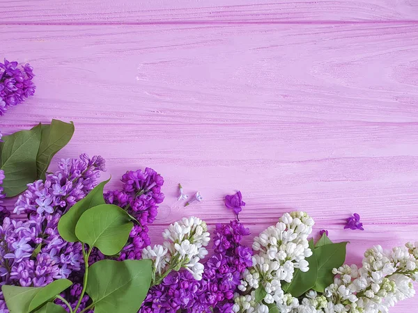 ahşap arka plan çerçevesi üzerinde güzel leylak çiçek