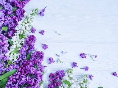 ahşap arka plan çerçevesi üzerinde güzel leylak çiçek