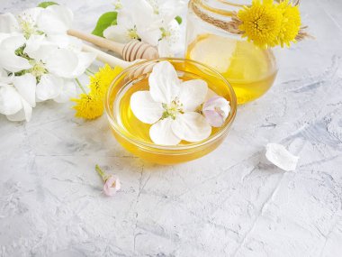 gri beton arka plan üzerinde taze bal çiçek açan elma ağacı