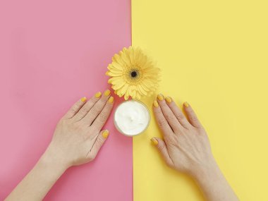 kadın elleri manikür, kozmetik krem, renkli bir arka plan üzerinde gerbera çiçek
