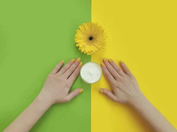 Mãos Femininas Manicure Creme Cosmético Flor Gerbera Fundo Colorido — Fotografia de Stock