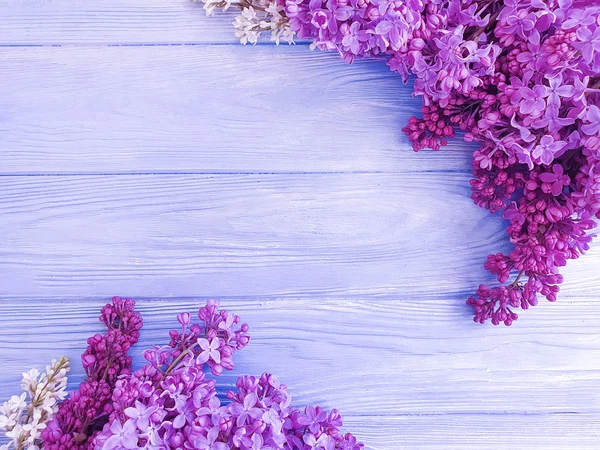 Lilac Flower Bouquet Blue Wooden Background Frame — Stock Photo, Image