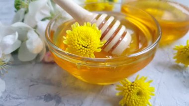 fresh honey dripping blooming apple tree slow motion