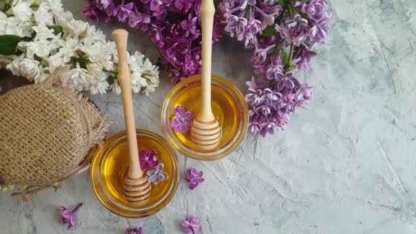 新鮮な蜂蜜 ライラックの花 スローモーション — ストック動画