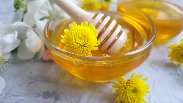 Miel Fresca Goteando Manzano Flor Cámara Lenta — Vídeos de Stock