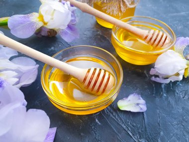 beton arka plan üzerinde taze bal iris çiçek