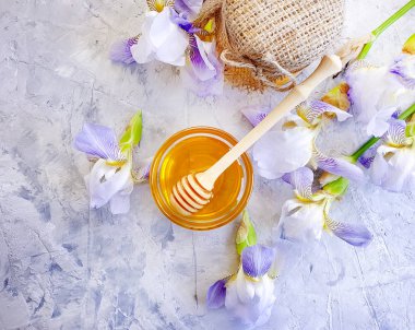 beton arka plan üzerinde taze bal iris çiçek