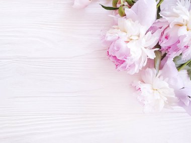 beyaz ahşap arka plan üzerinde güzel taze çiçek şakayık, çerçeve