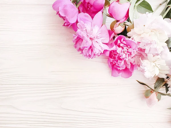 Hermosa Peonía Flor Fresca Sobre Fondo Madera Blanca Marco — Foto de Stock