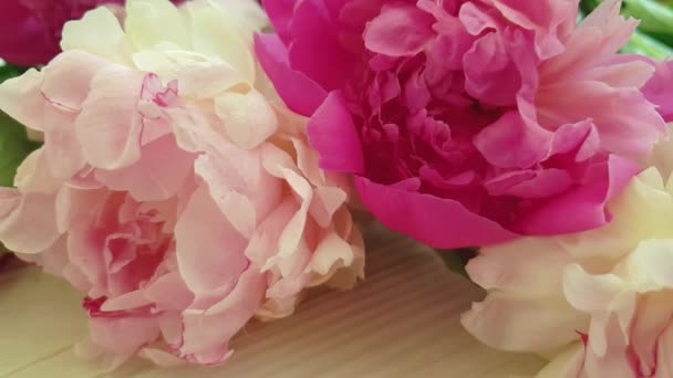 Peony Flower Wooden Background — Stock Video