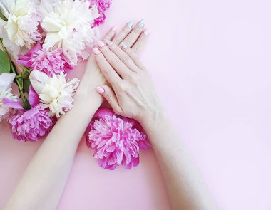 renkli bir arka planda kadın eller manikür çiçek şakayık