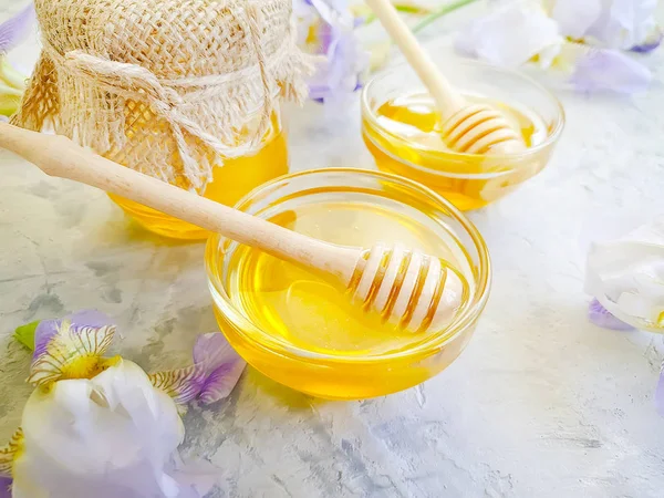 Frischer Honig Irisblume Auf Betongrund — Stockfoto